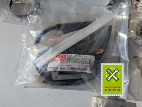 PXL_20240528_155758247